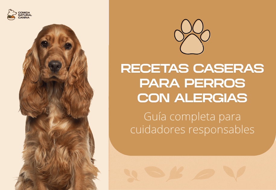 Descubre recetas caseras y hipoalergénicas para aliviar picores, diarreas y alergias con ingredientes fáciles