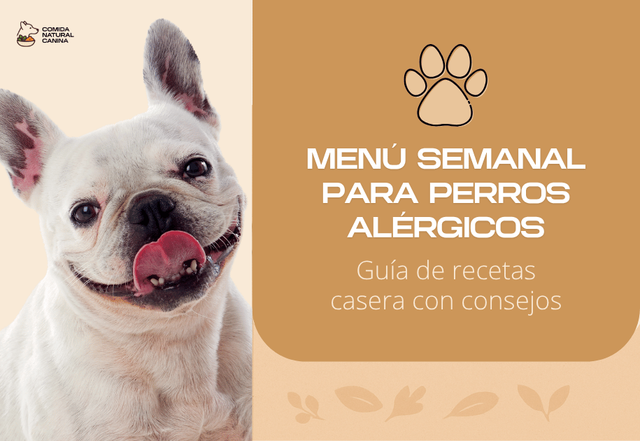 Recetas caseras para perros con alergias. Menú semanal fácil y saludable para mejorar su bienestar desde hoy.