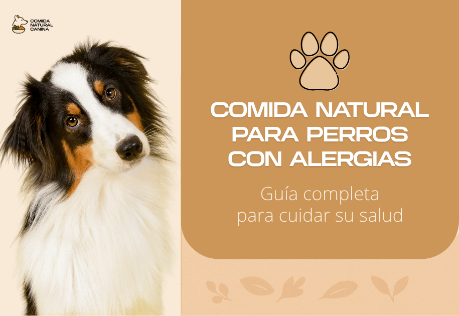 ¿Picor, vómitos o intolerancias? Descubre qué darle (y qué no) a tu perro con alergias. Recetas caseras, piensos naturales y consejos